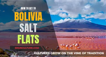 Exploring Bolivia's Salt Flats: Travel Guide