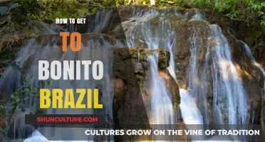 Discover Bonito, Brazil: Essential Travel Tips and Routes