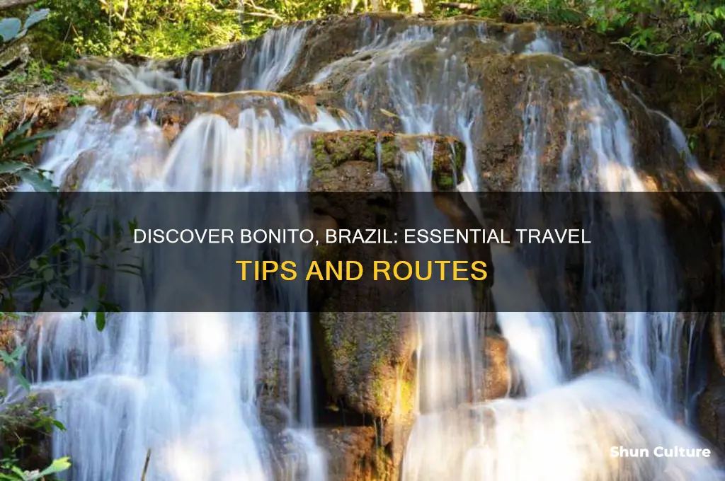 how to get to bonito brazil