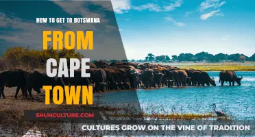 Travel Guide: Cape Town to Botswana - Routes, Tips, and Essentials