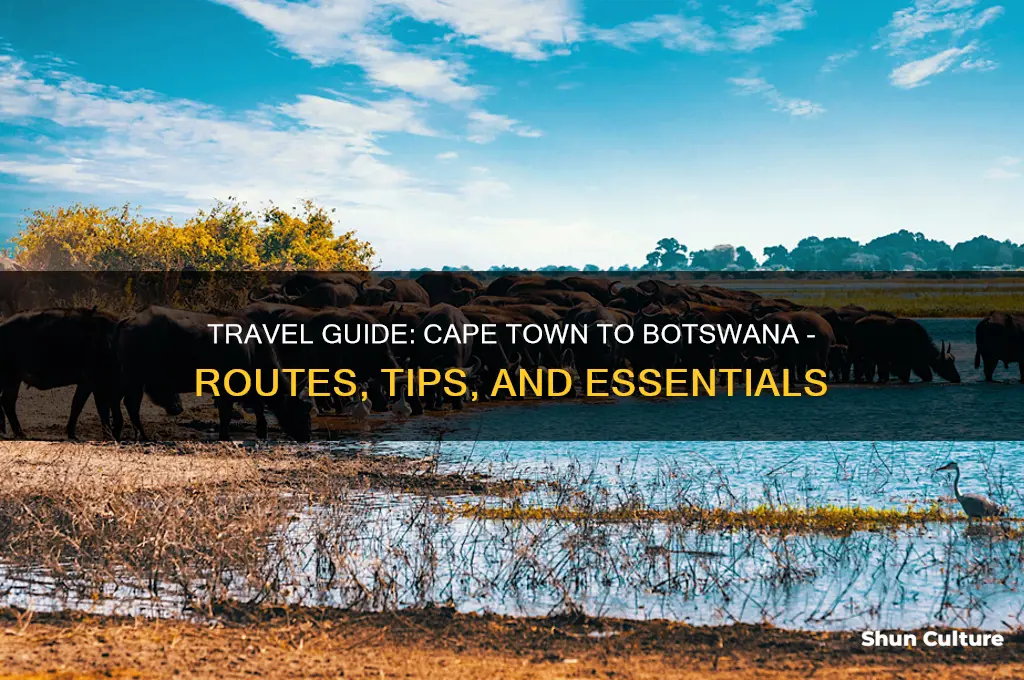 how to get to botswana from cape town