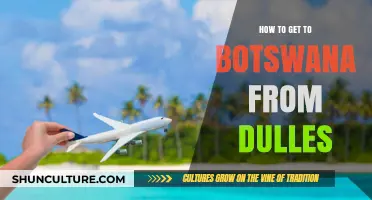 Travel Guide: Flying from Dulles to Botswana - Routes & Tips