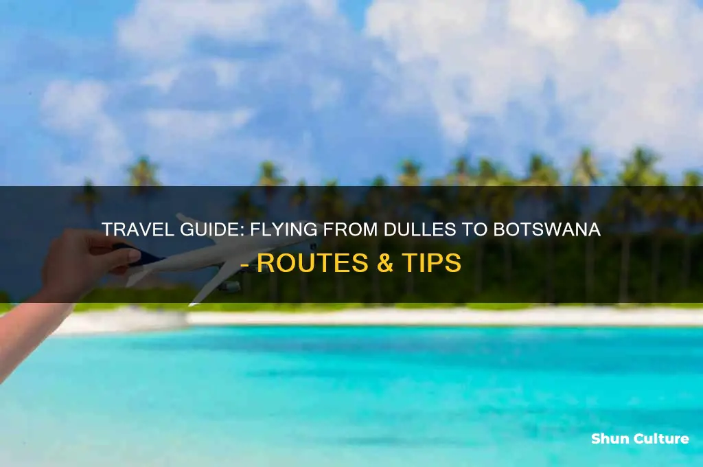 how to get to botswana from dulles
