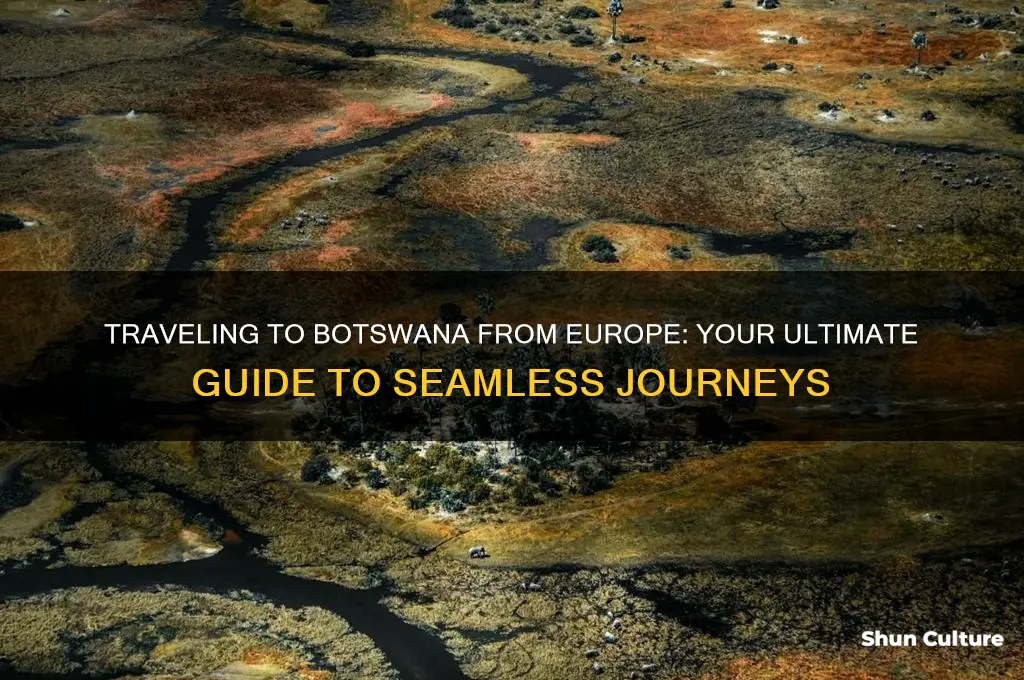 how to get to botswana from europe
