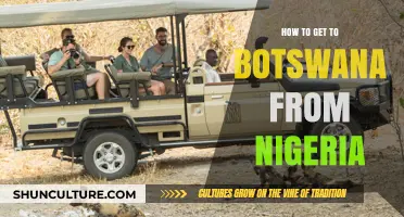 Travel Guide: Nigeria to Botswana - Best Routes and Tips