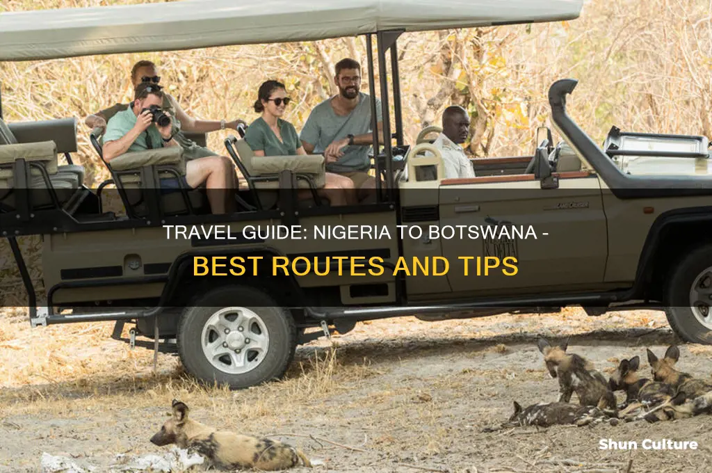 how to get to botswana from nigeria