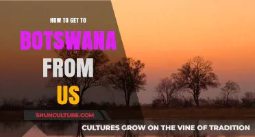 Travel Guide: Flying from the US to Botswana Made Easy