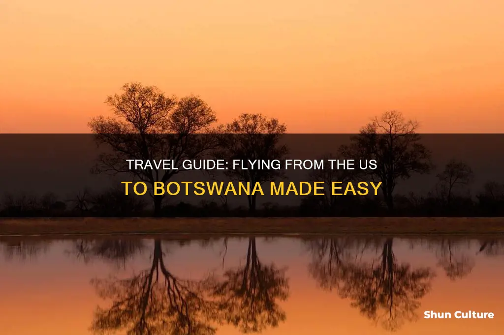how to get to botswana from us
