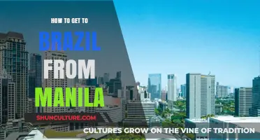 Travel Guide: Manila to Brazil - Flights, Routes, and Tips