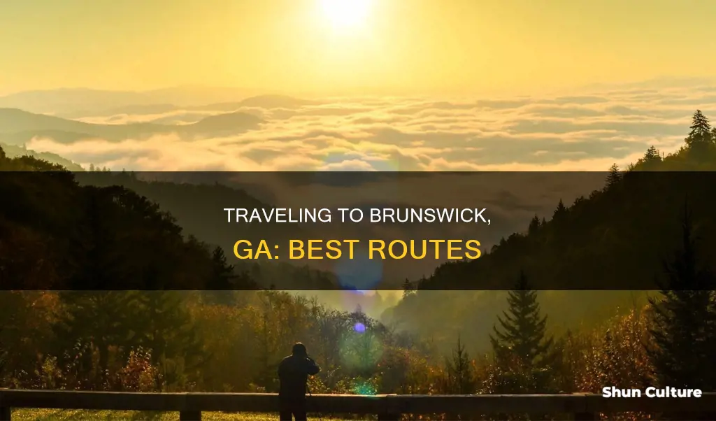 how to get to brunswick ga from lawrenceville ga