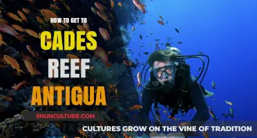 Exploring Antigua's Cades Reef: Your Ultimate Travel Guide and Tips