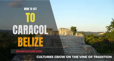 Exploring Caracol, Belize: A Travel Guide