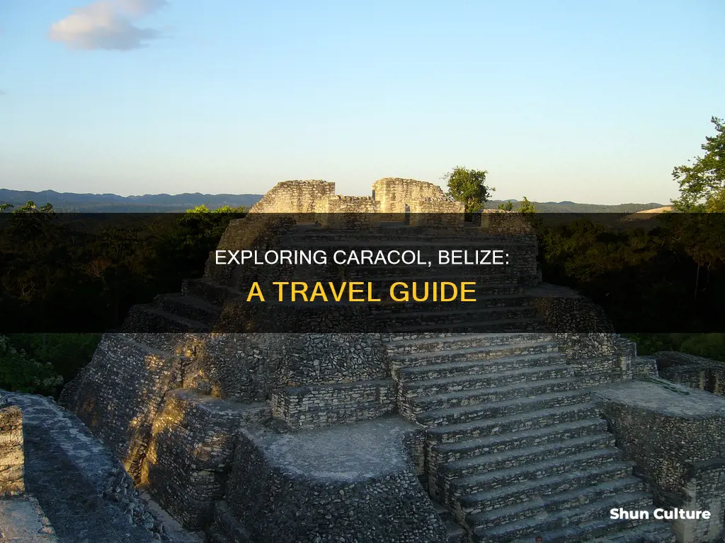 how to get to caracol belize