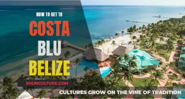 Travel Guide: Getting to Costa Blu, Belize