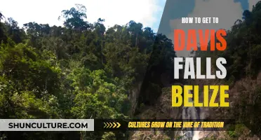 Exploring Belize: Directions to the Majestic Davis Falls