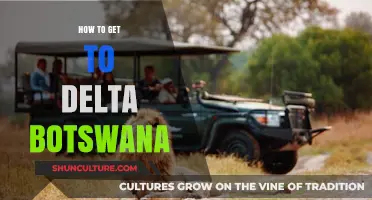 Exploring Delta Botswana: Essential Travel Tips and Routes to Reach It