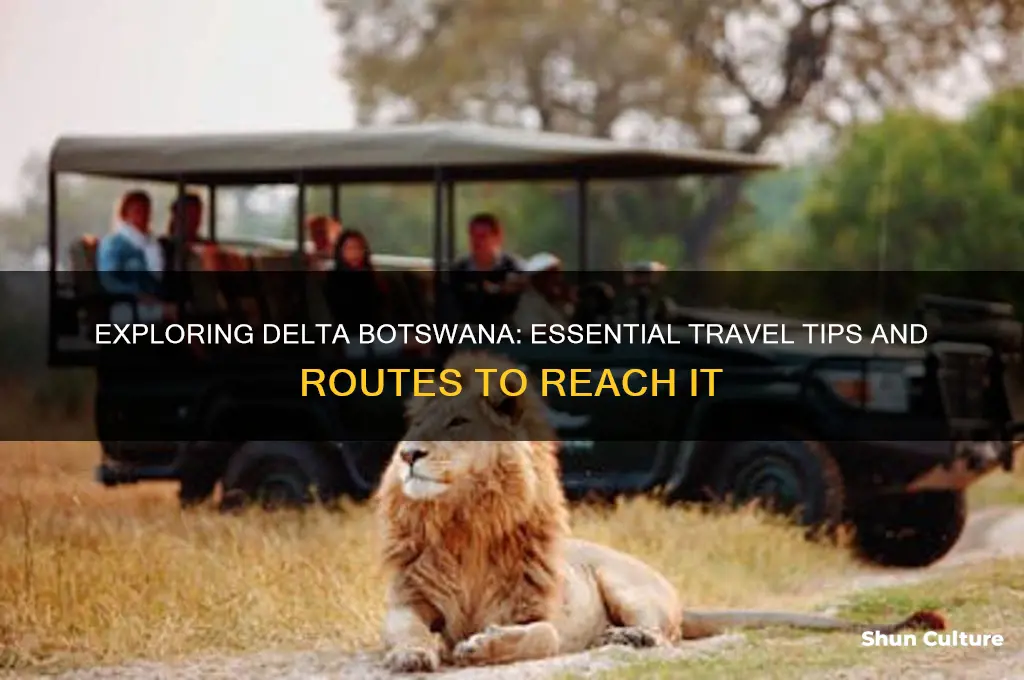 how to get to delta botswana