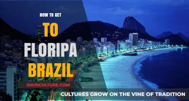 Discovering Floripa: Your Ultimate Guide to Reaching Florianópolis, Brazil