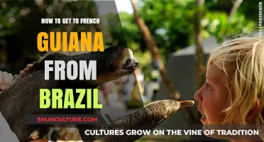 Traveling from Brazil to French Guiana: Routes, Tips, and Essentials