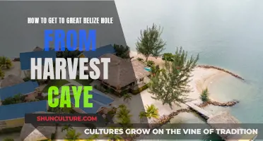 Exploring the Great Belize Hole: Harvest Caye Departure