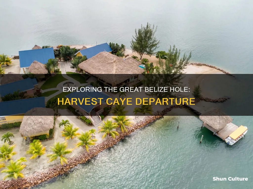 how to get to great belize hole from harvest caye