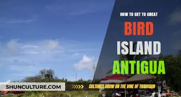 Exploring Antigua: Your Ultimate Guide to Reaching Great Bird Island