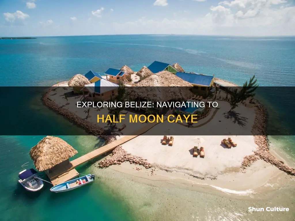 how to get to half moon caye belize