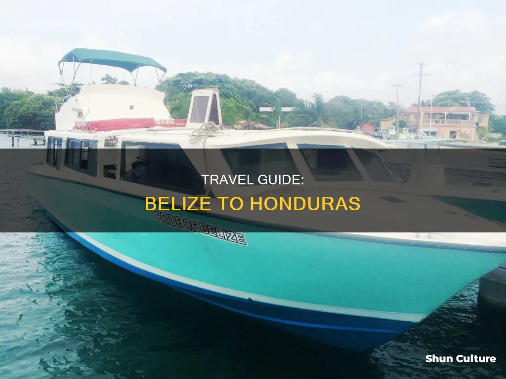 how to get to honduras from belize