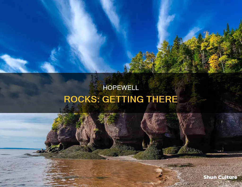 how to get to hopewell rocks in new brunswick