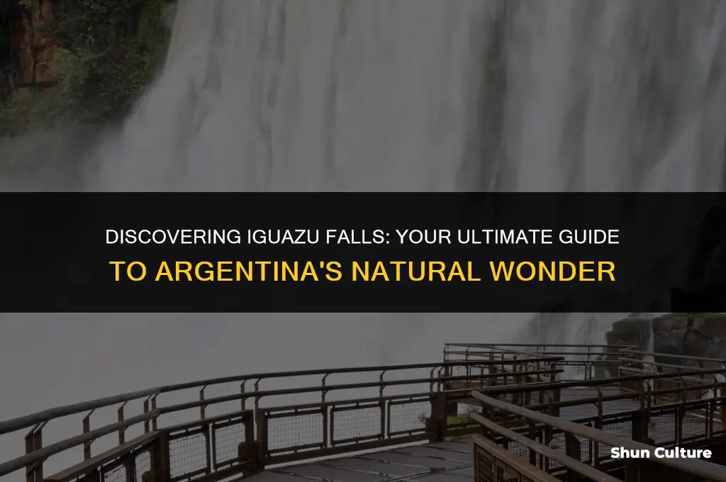 how to get to iguazu falls argentina