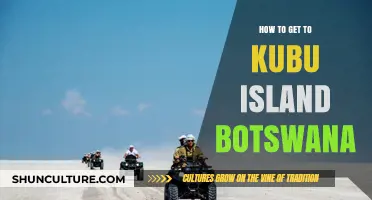 Exploring Kubu Island: A Complete Travel Guide to Botswana's Hidden Gem