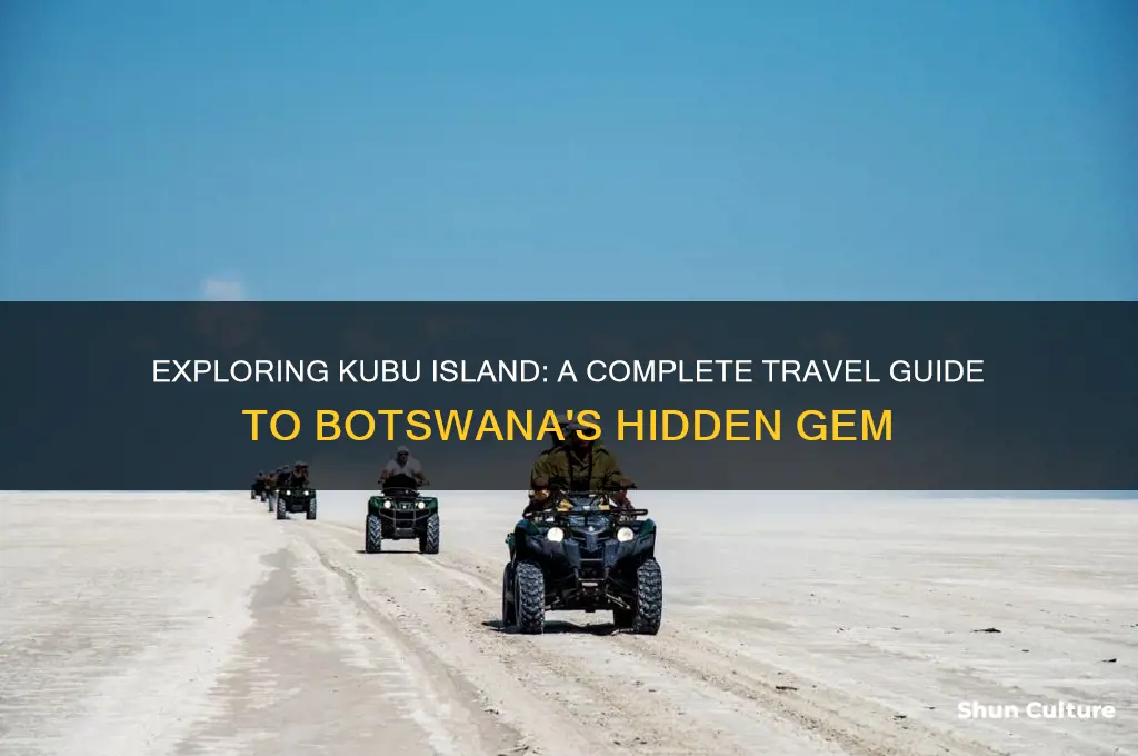 how to get to kubu island botswana