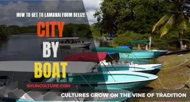 Exploring Lamanai: Boat Adventure from Belize City