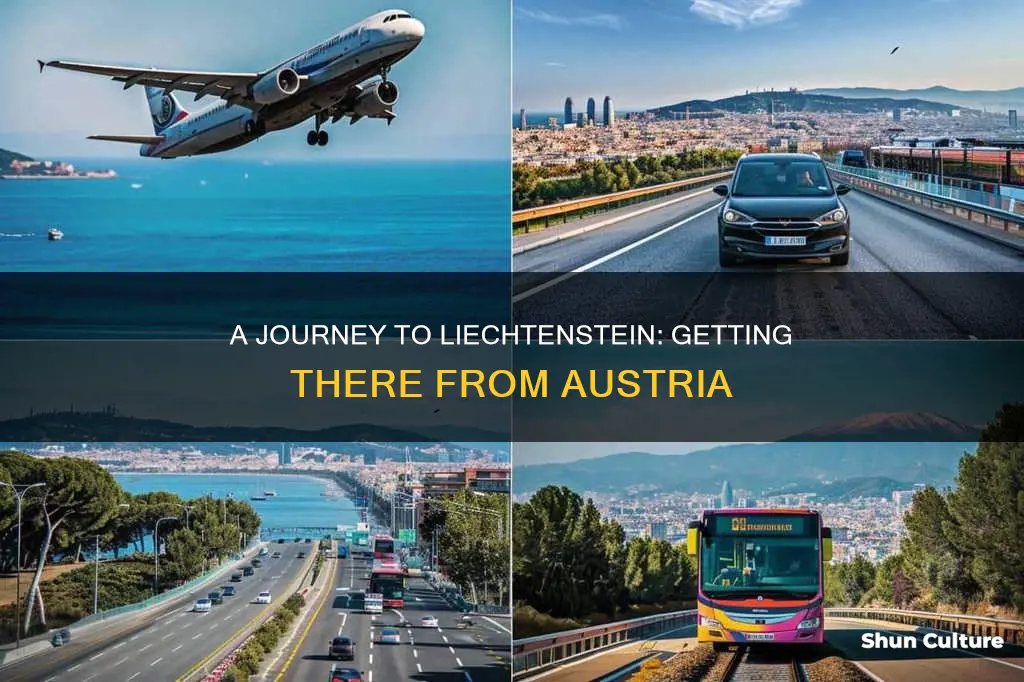 how to get to liechtenstein from austria