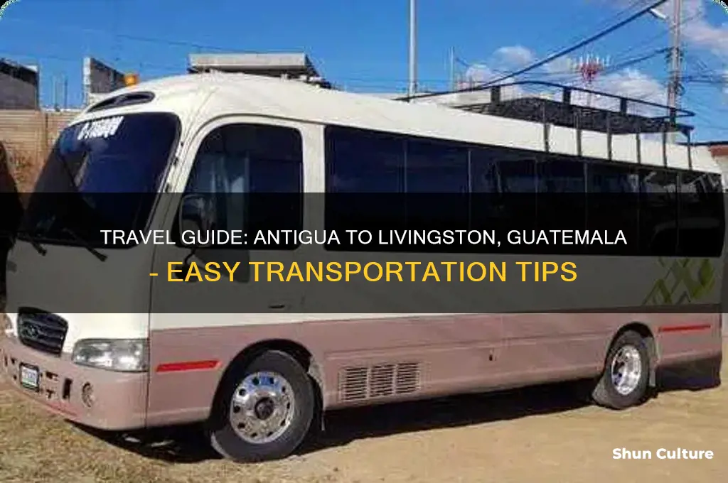 how to get to livingston from antigua