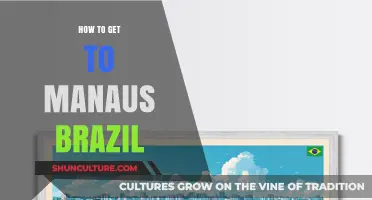Traveling to Manaus, Brazil: Essential Tips for Your Journey