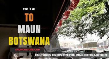 Travel Guide: Reaching Maun, Botswana – Easy Routes & Tips