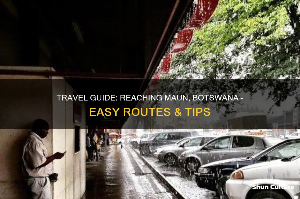 how to get to maun botswana