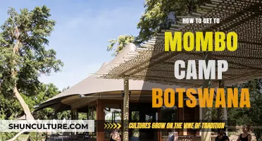 Ultimate Guide to Reaching Mombo Camp in Botswana's Okavango Delta