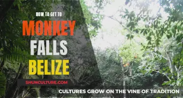 Exploring Belize: Directions to Monkey Falls