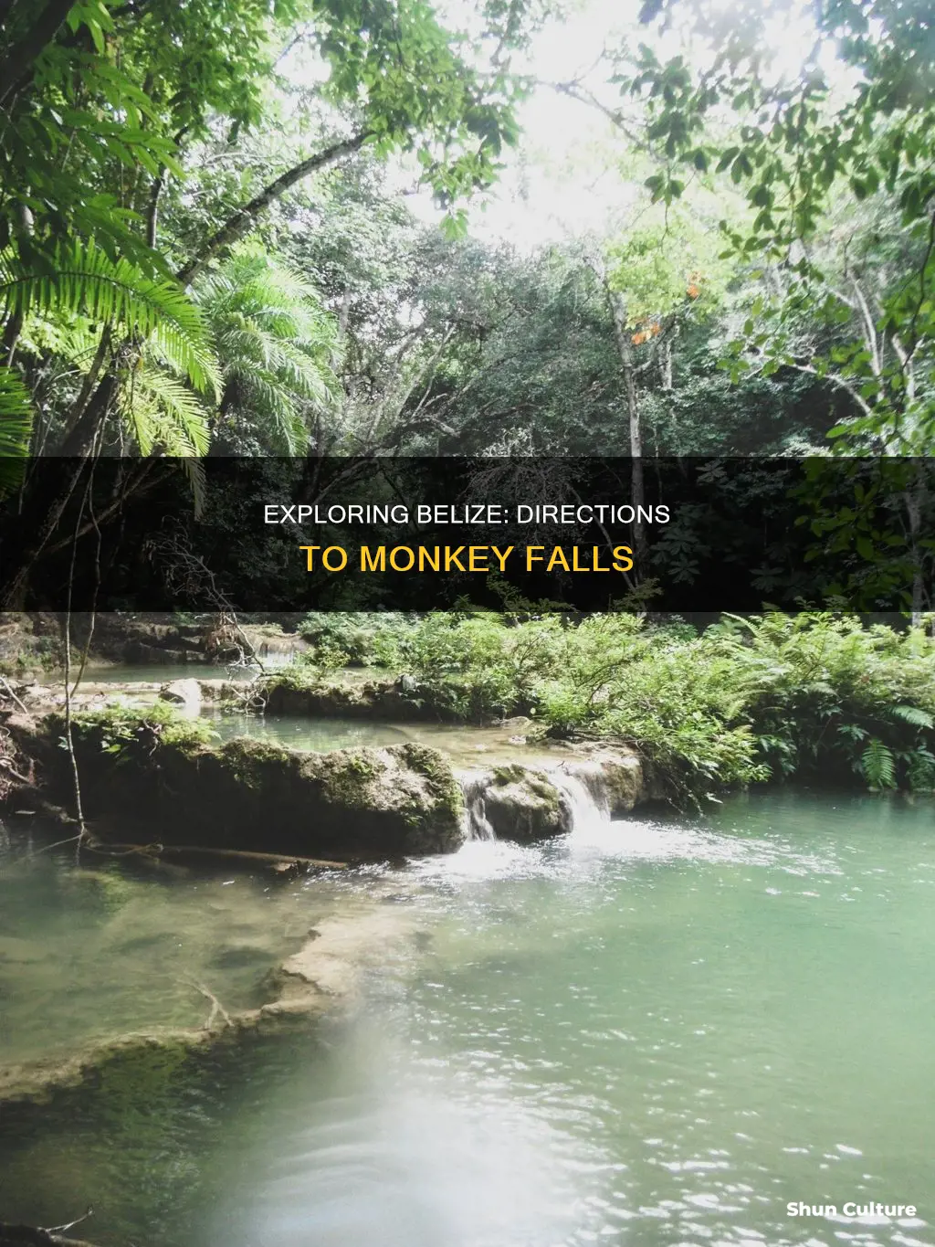 how to get to monkey falls belize