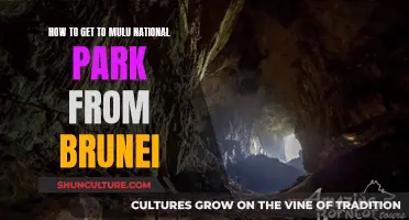 Exploring Mulu National Park: Travel Tips from Brunei