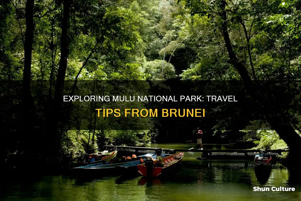 how to get to mulu national park from brunei