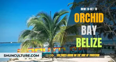 Exploring Orchid Bay: Travel Tips for Belize