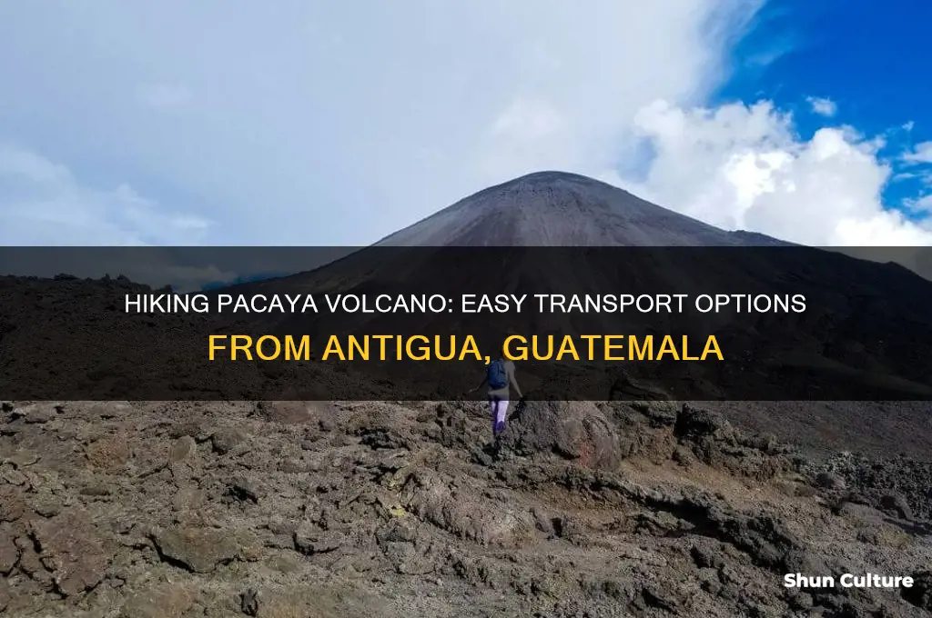 how to get to pacaya volcano from antigua