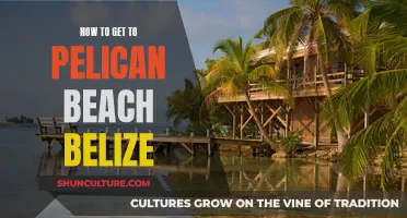 Exploring Pelican Beach: A Guide to Getting There