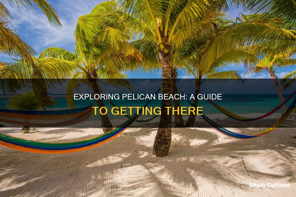 how to get to pelican beach belize