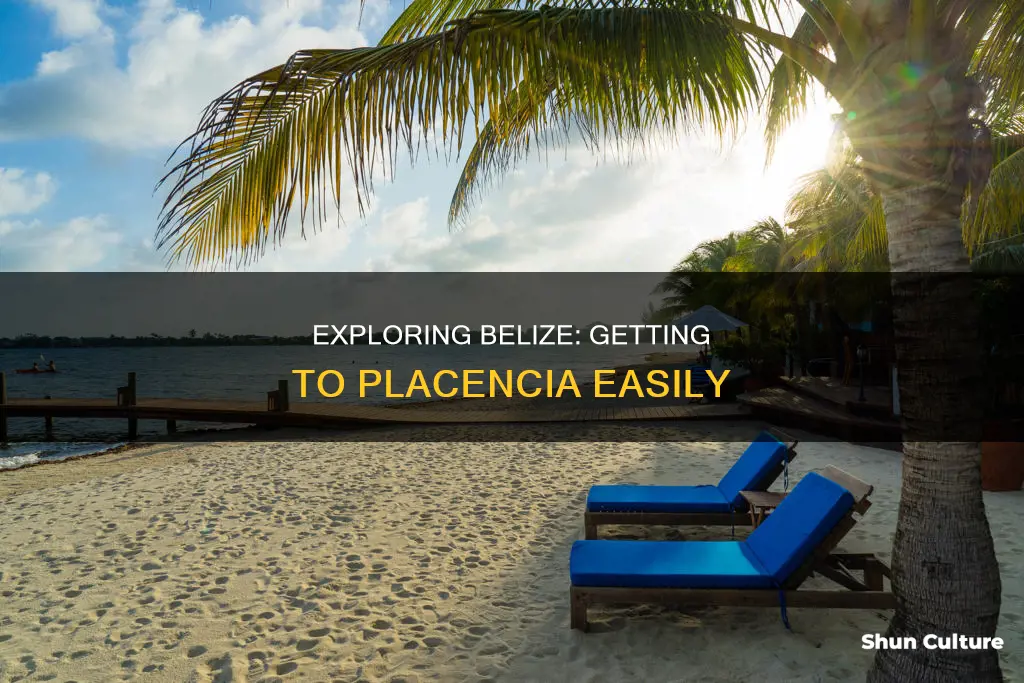 how to get to placencia belize