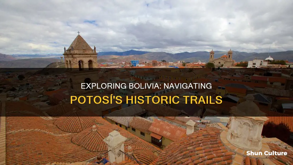 how to get to potosi bolivia