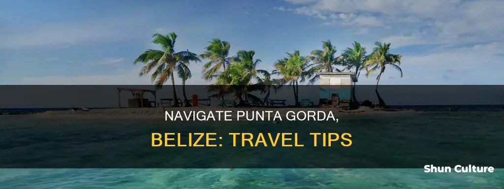 how to get to punta gorda belize